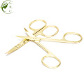 Beauty Tool Scissor Stainless Steel Eyebrow Scissors